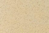 AR103 Crema Soave